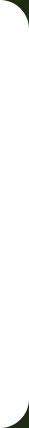 Black semicircle shapes on top left and bottom right corners on a white background.